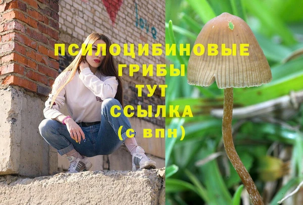 МДМА Абаза